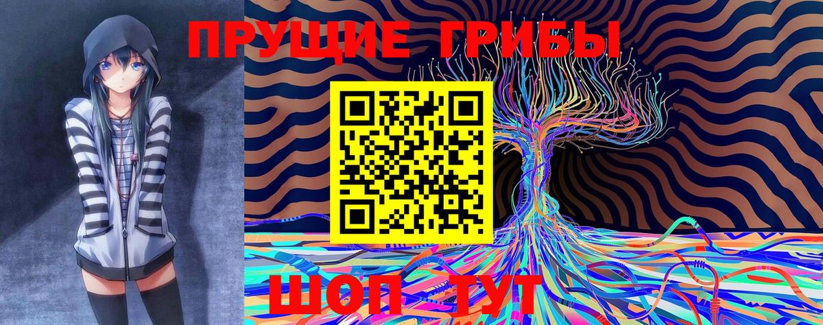 Псилоцибиновые грибы MAGIC MUSHROOMS Москва